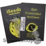 San Francisсo feminised